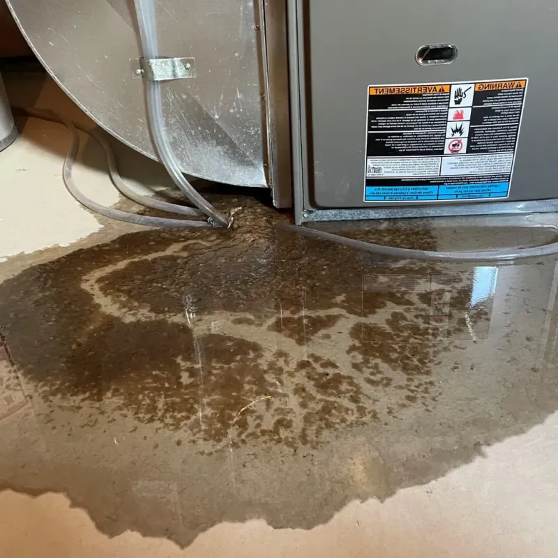 Pipe Burst and Leak Restoration in Rush Springs, OK