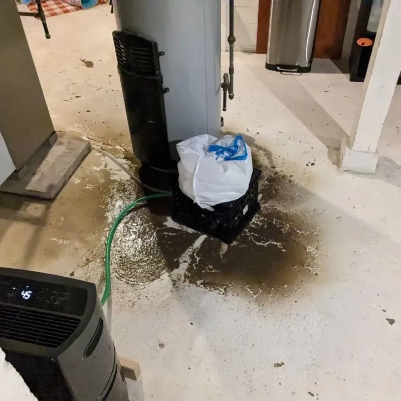 Sewage Backup Cleanup Service in Rush Springs, OK